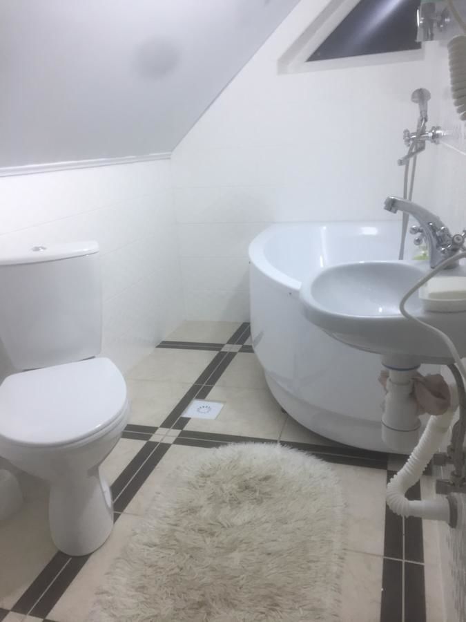 Проживание в семье Rosinka Яремче-47