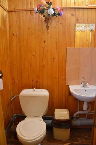 Проживание в семье Rosinka Яремче Бюджетный двухместный номер с 1 кроватью-12