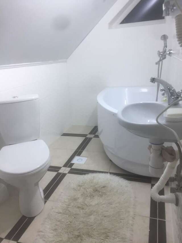 Проживание в семье Rosinka Яремче-46