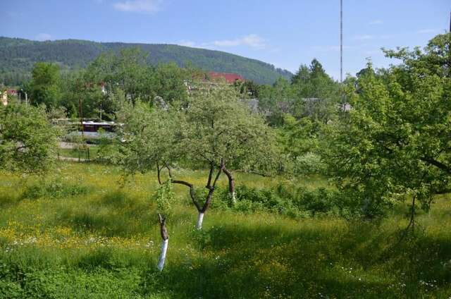 Проживание в семье Rosinka Яремче-87